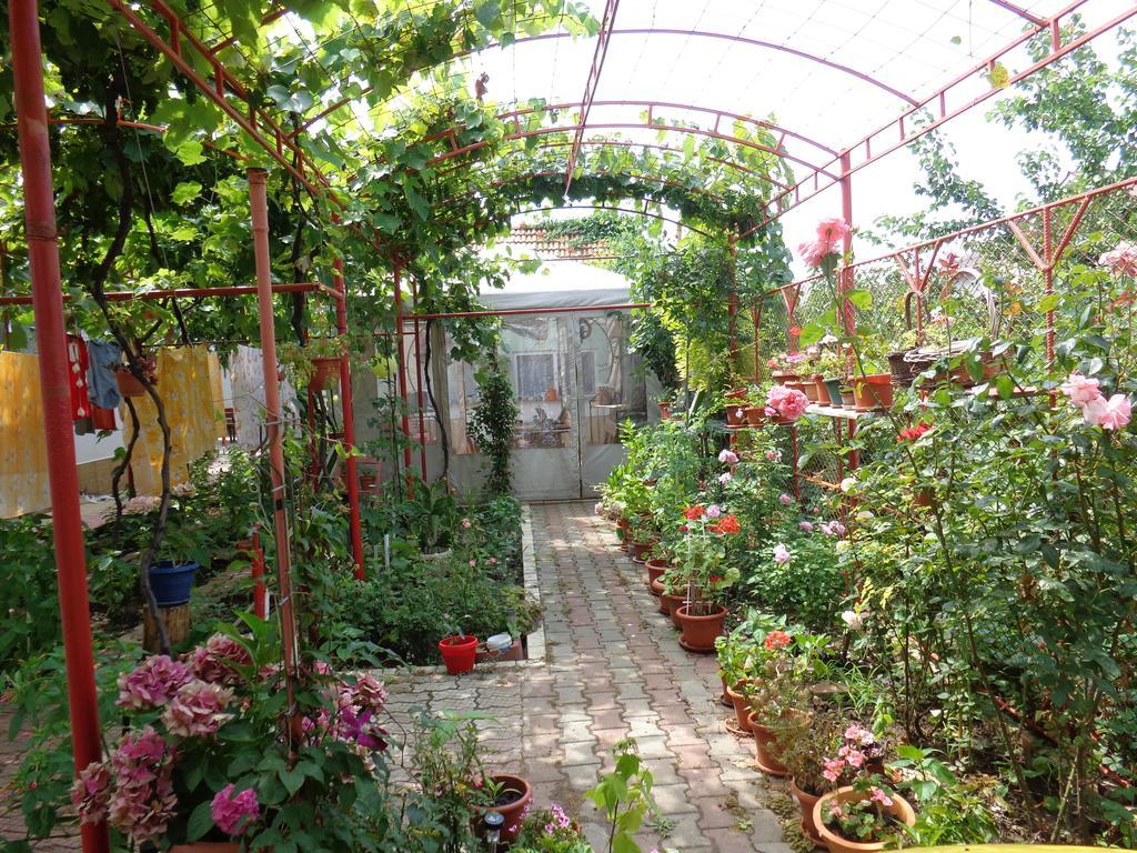 Casa Munteanu Apartment Западен Ефорие Екстериор снимка